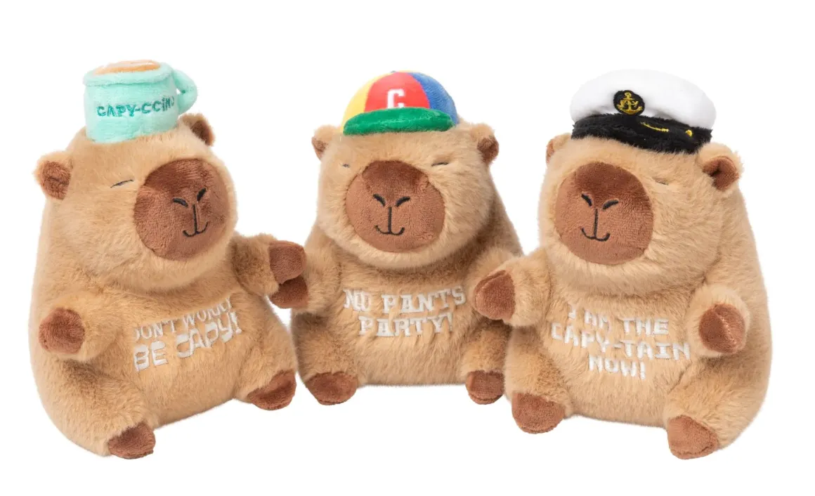 Dog Toy - Capy-tain