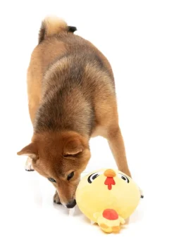 Dog Toy - Hen Diesel