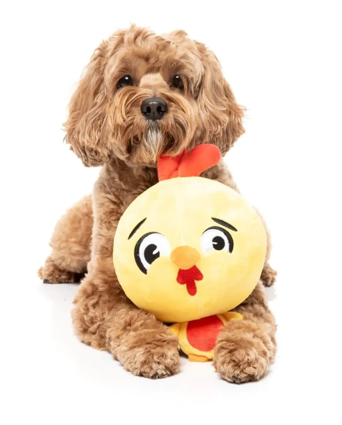 Dog Toy - Hen Diesel