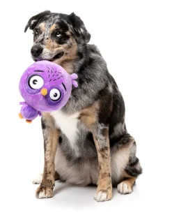 Dog Toy - Hoo-dini