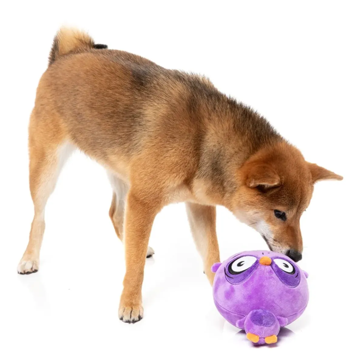 Dog Toy - Hoo-dini
