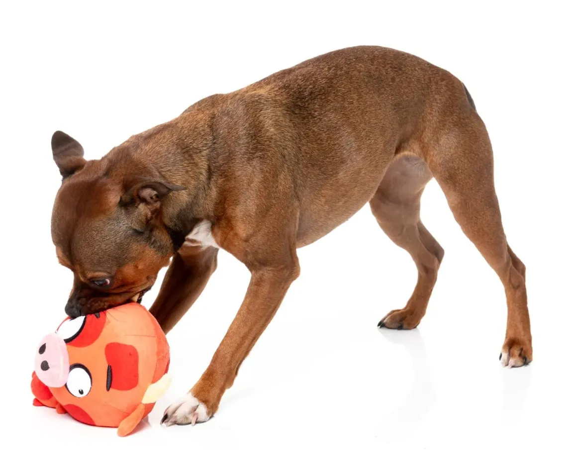 Dog Toy - Moo-hammad Ali