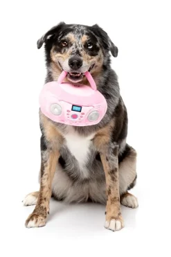 Dog Toy - Portable CD Player