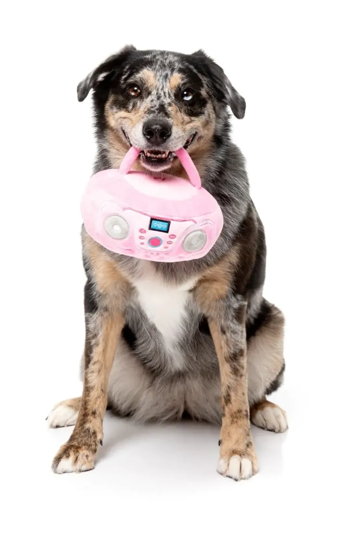 Dog Toy - Portable CD Player