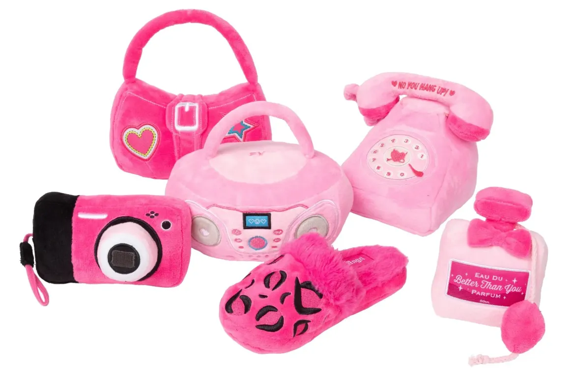 Dog Toy - Portable CD Player