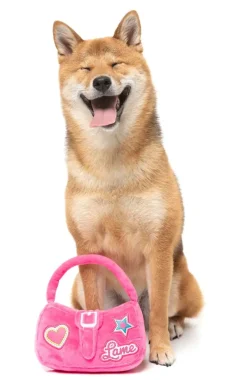 Dog Toy - So Fetch Handbag
