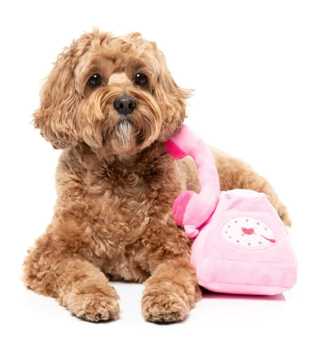Dog Toy - You Hang Up Landline