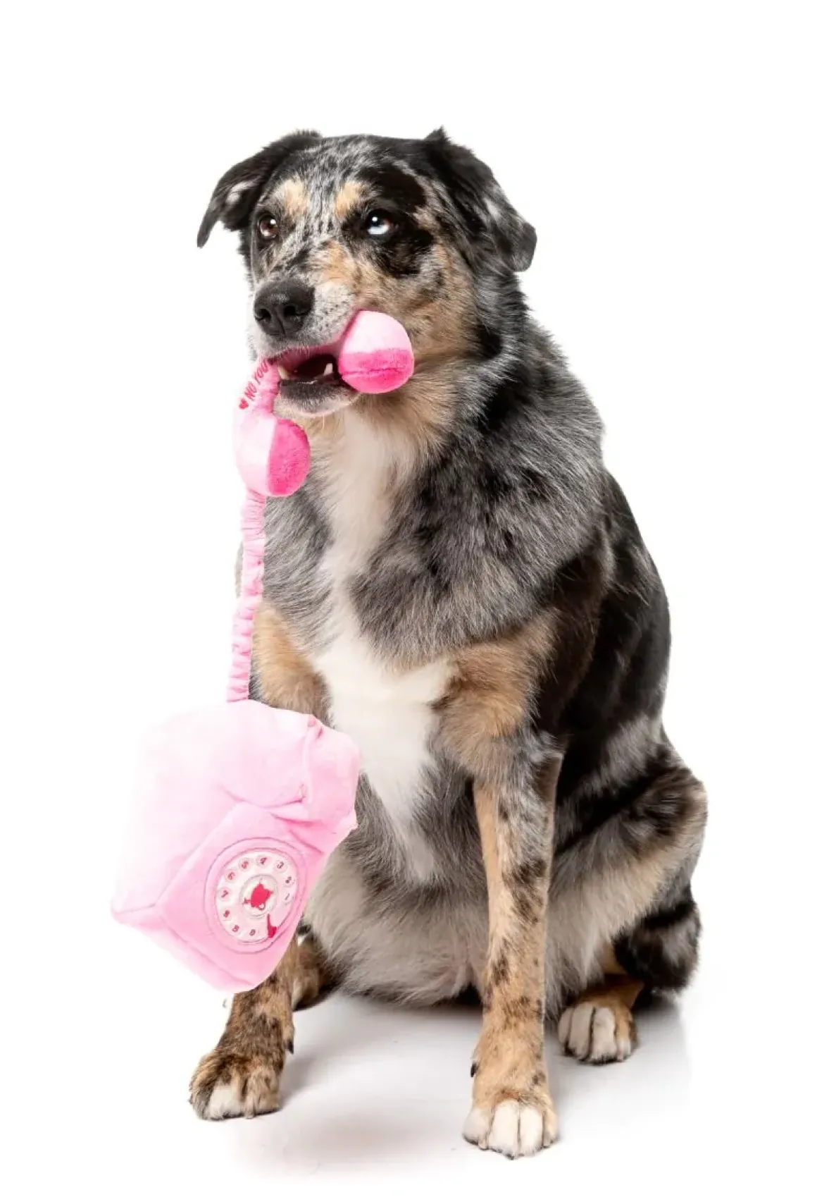 Dog Toy - You Hang Up Landline