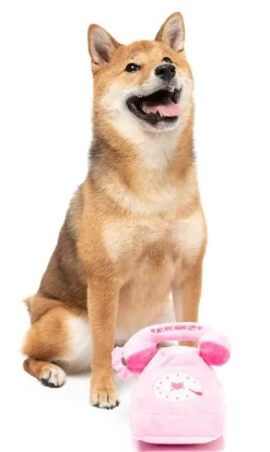 Dog Toy - You Hang Up Landline