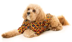 Doggoforce Button Up Shirt