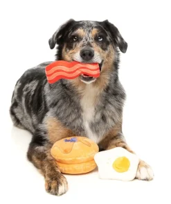 Dog's Breakfast 3PK - Dog Toy