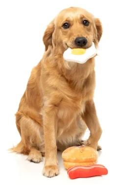 Dog's Breakfast 3PK - Dog Toy