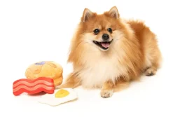 Dog's Breakfast 3PK - Dog Toy