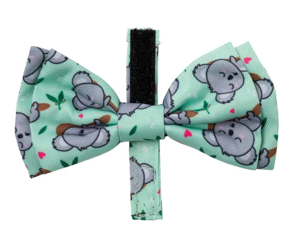 Dreamtime Koala - Bowtie