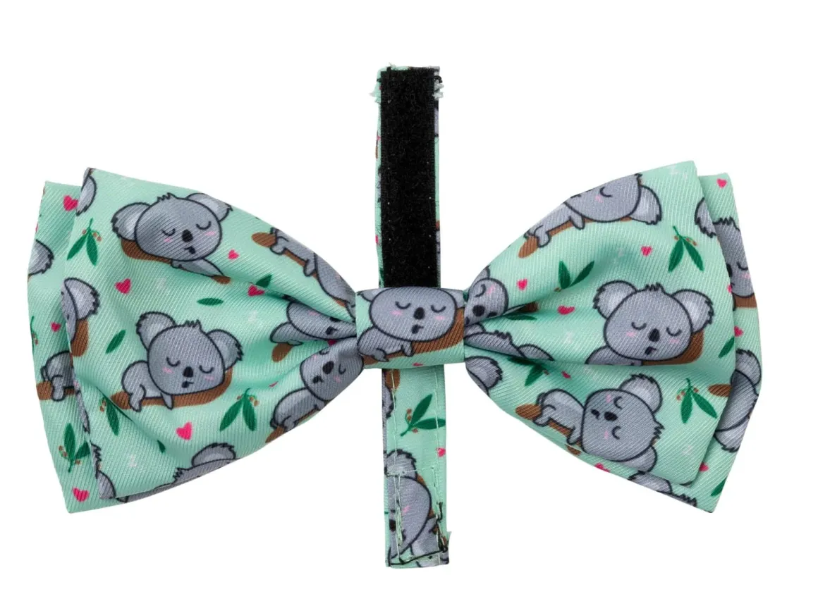 Dreamtime Koala - Bowtie