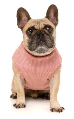 Dusty Pink MacGyver Jacket