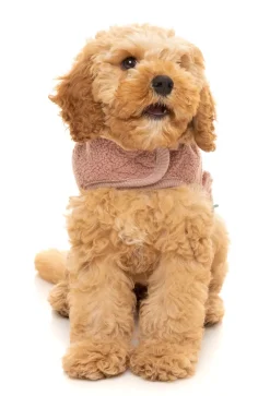 Dusty Pink Teddy Wrap Vest