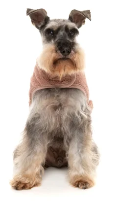 Dusty Pink Teddy Wrap Vest