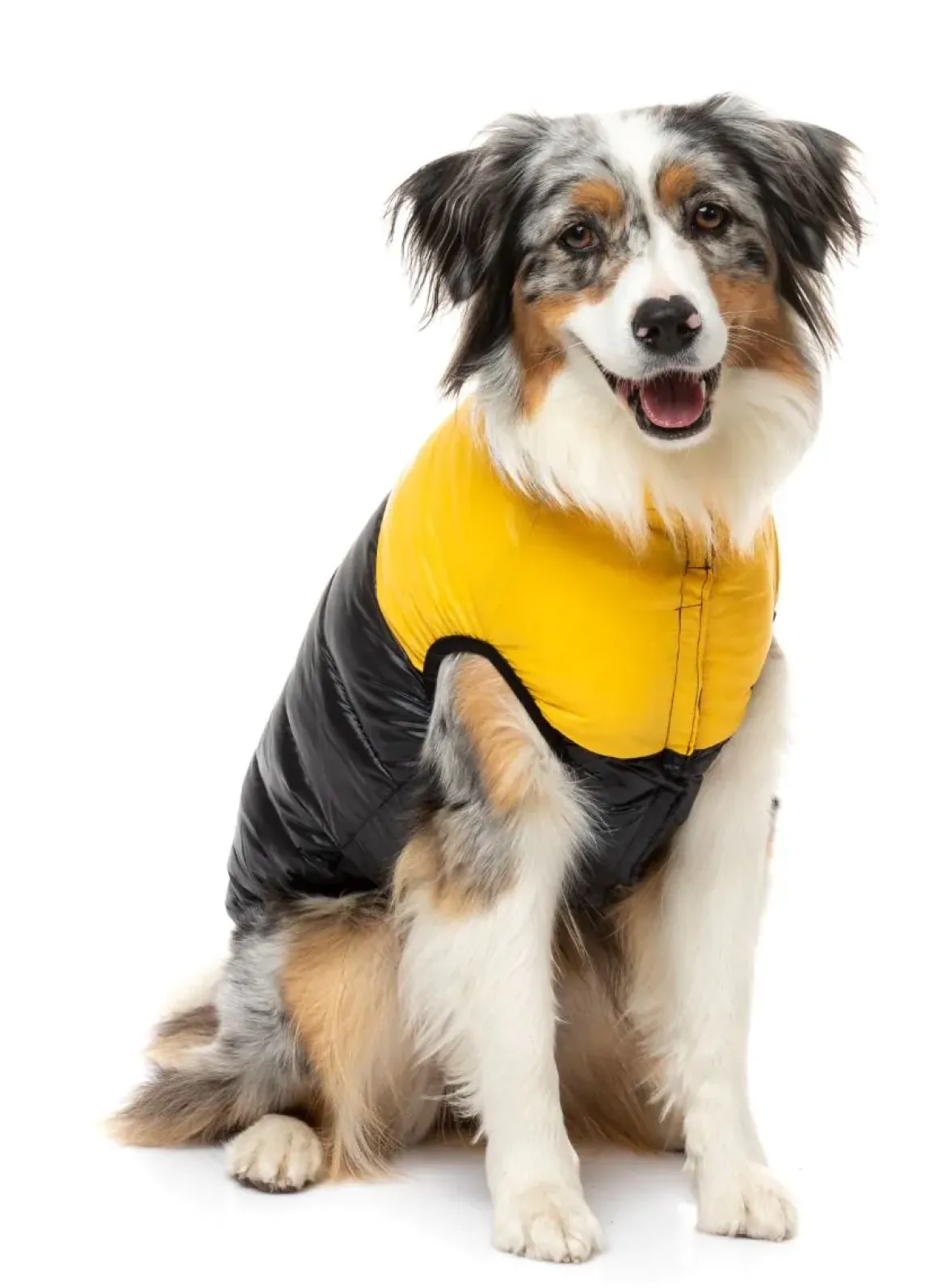 East Harlem Puffer Jacket - Yellow