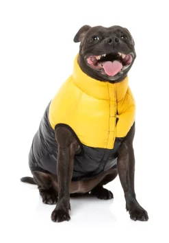 East Harlem Puffer Jacket - Yellow