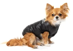 East Harlem Puffer Jacket - Black