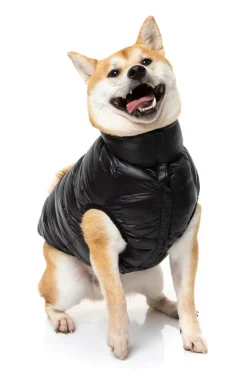 East Harlem Puffer Jacket - Black