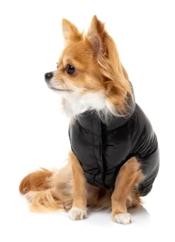 East Harlem Puffer Jacket - Black