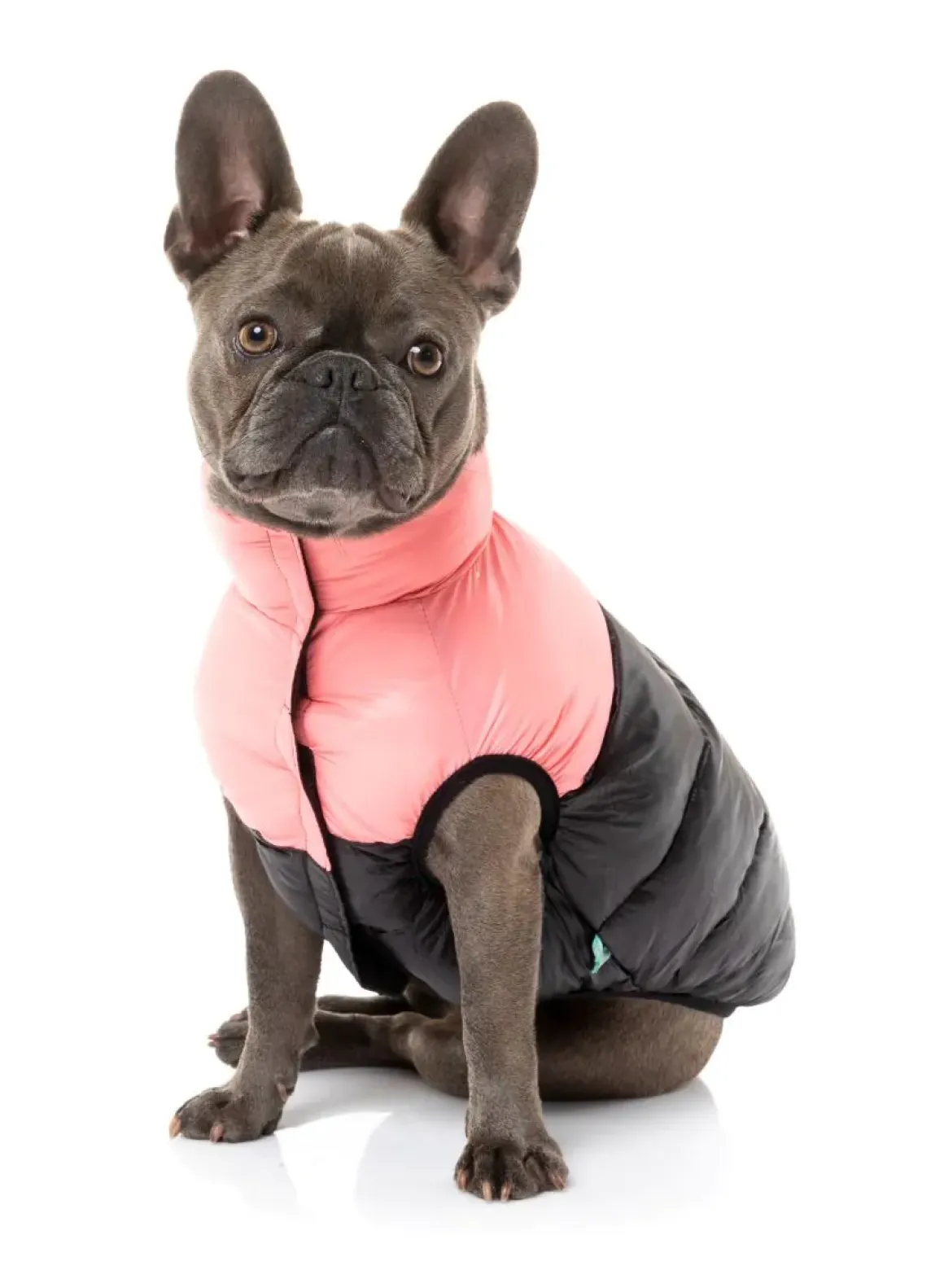 East Harlem Puffer Jacket - Pink