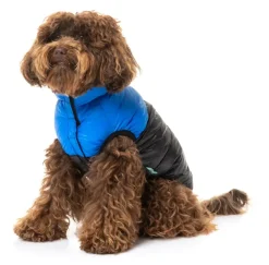 East Harlem Puffer Jacket - Blue