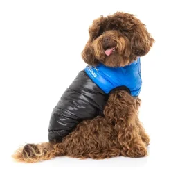 East Harlem Puffer Jacket - Blue