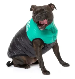 East Harlem Puffer Jacket - Green