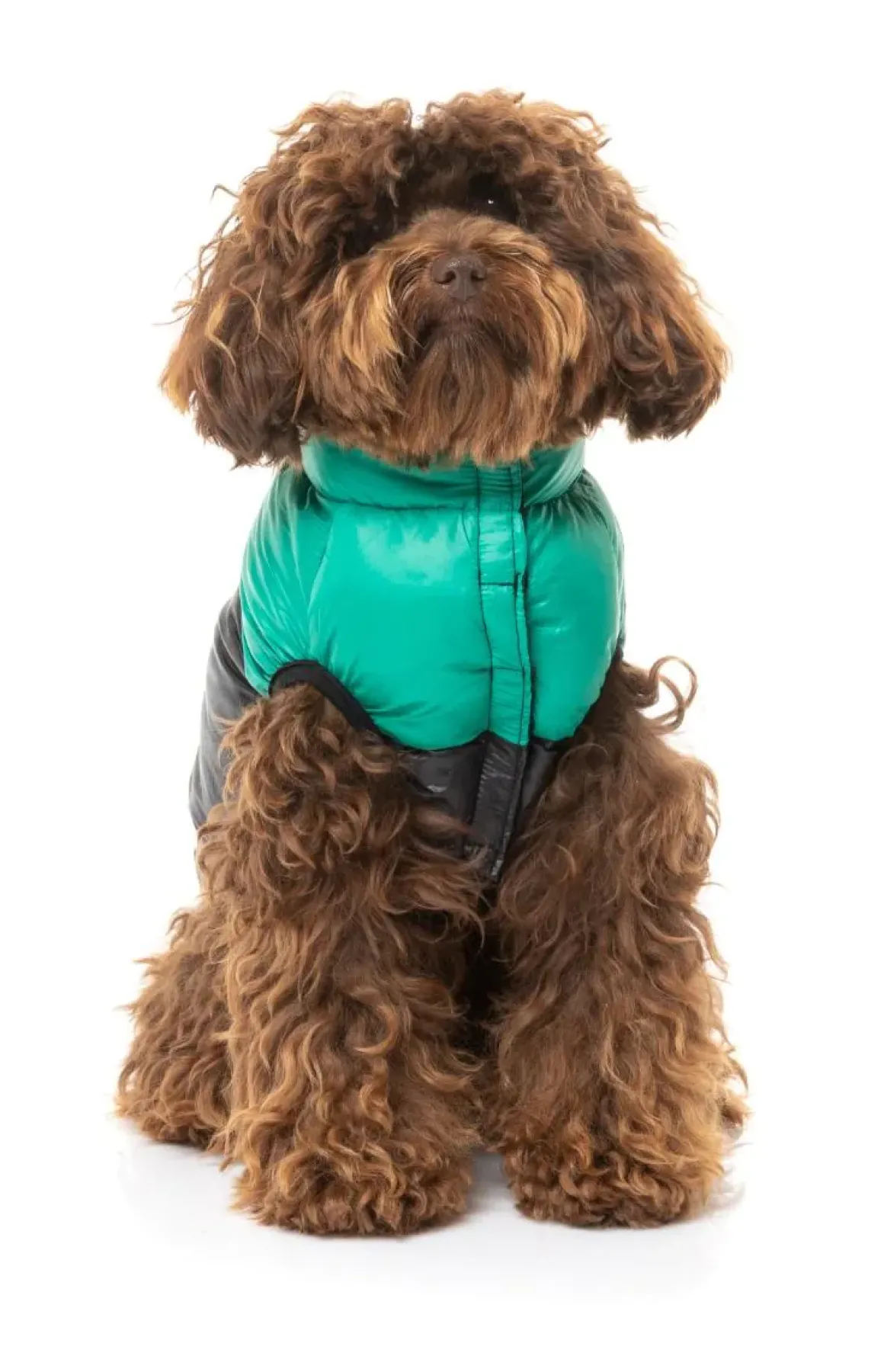 East Harlem Puffer Jacket - Green