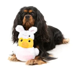 Easter Duck - Dog Toy