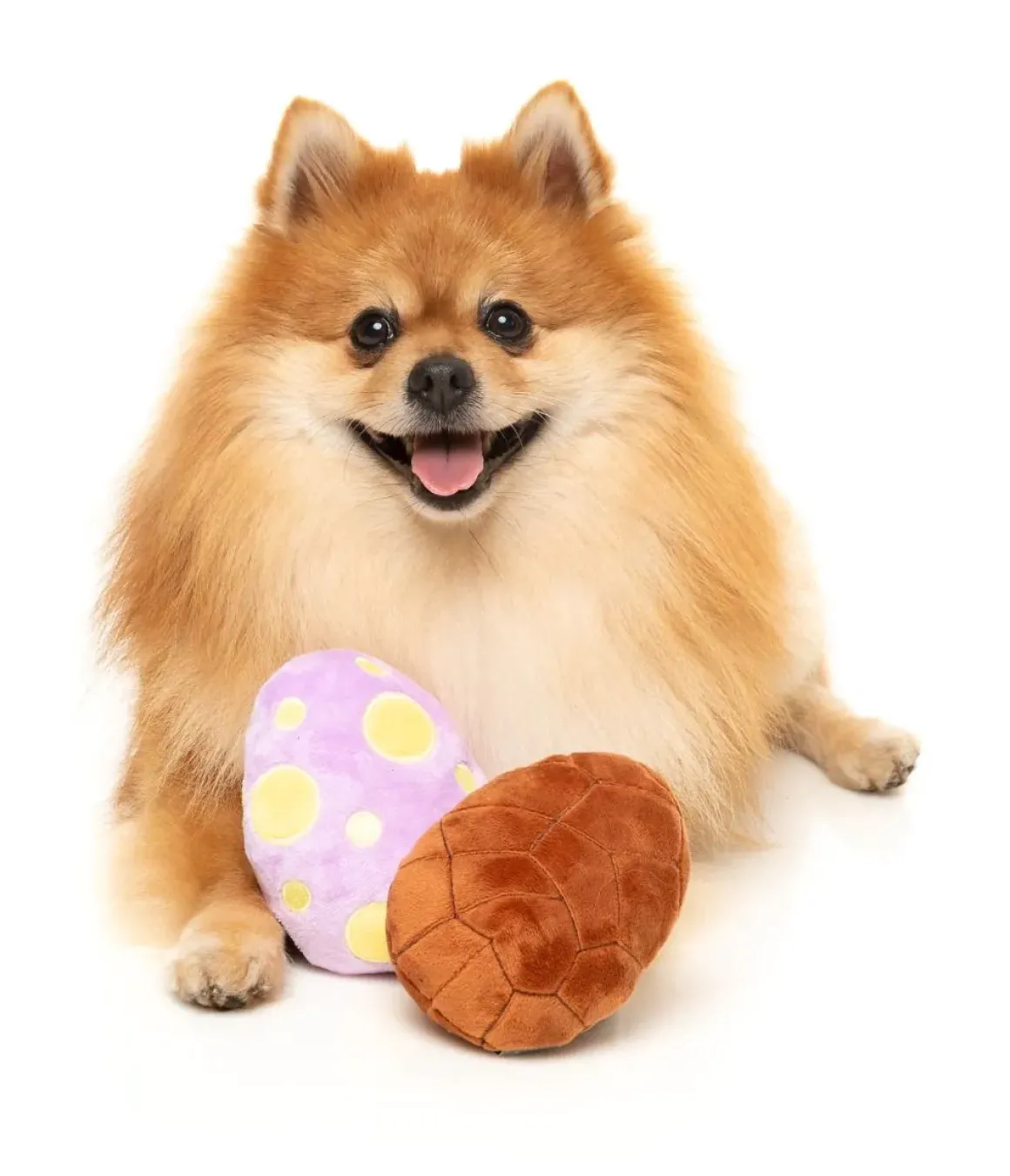 Easter Egg 2PK - Dog Toy