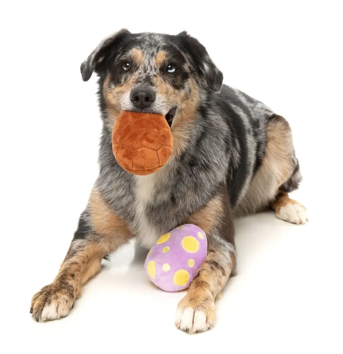 Easter Egg 2PK - Dog Toy