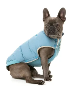 Essential Puffer Jacket - Blue