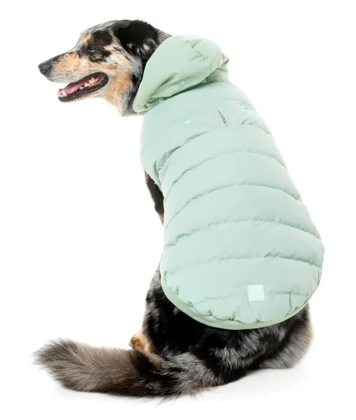 Essential Puffer Jacket - Mint