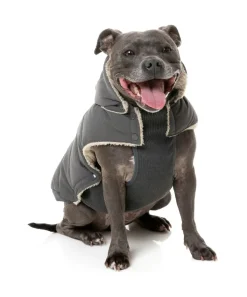 Essential Puffer Jacket - Charcoal