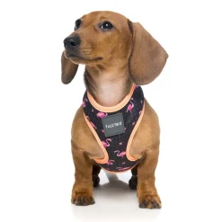 Fabmingo Dog Harness