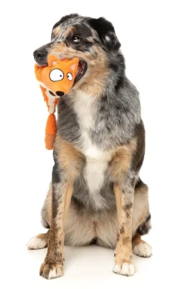 Farewell Fox - The Yeetz - Dog Toy