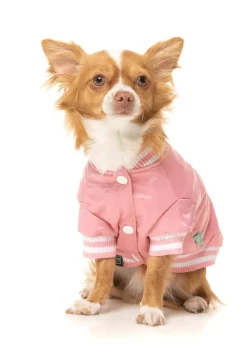 Fastball Jacket - Pink