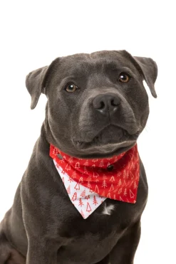 Festive Trees Bandana
