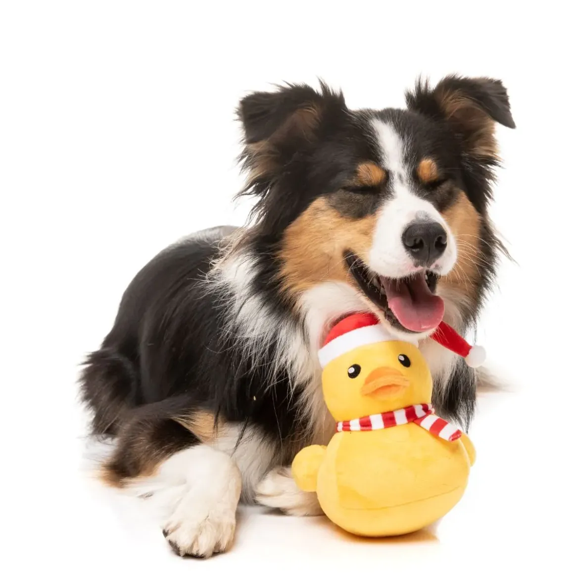 Festive Waddles - Dog Toy