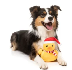 Festive Waddles - Dog Toy