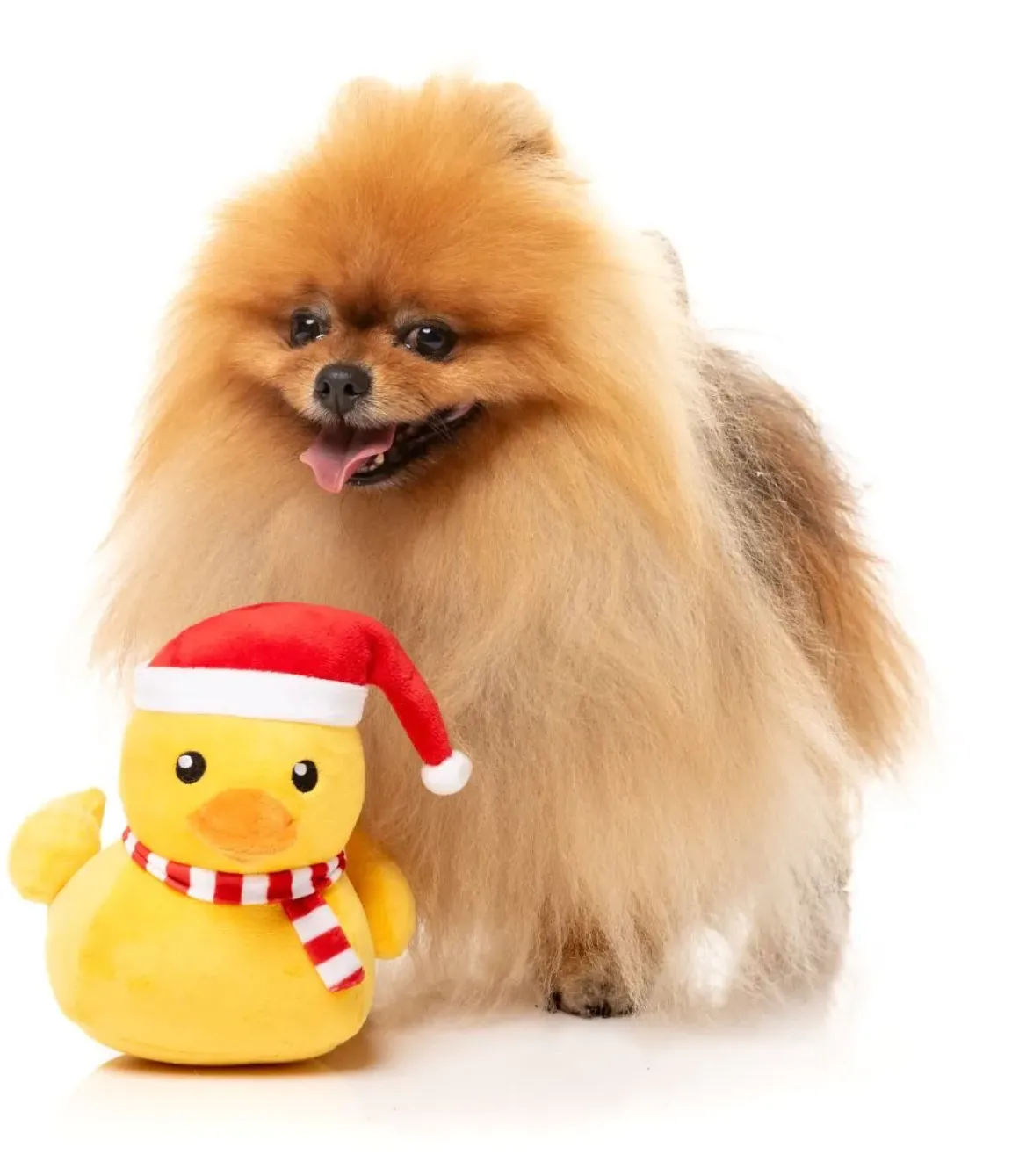 Festive Waddles - Dog Toy