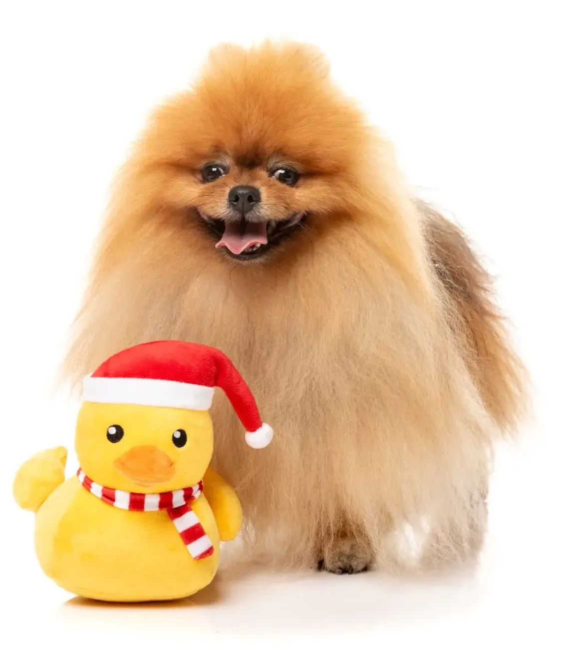 Festive Waddles - Dog Toy