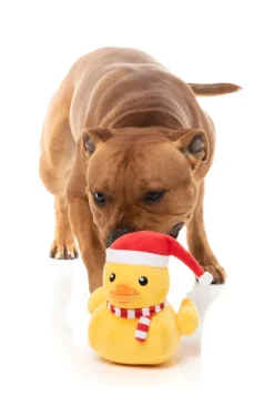 Festive Waddles - Dog Toy