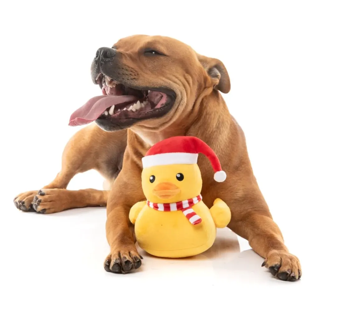 Festive Waddles - Dog Toy
