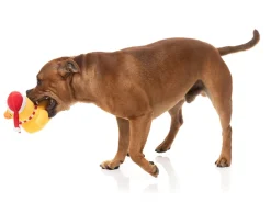 Festive Waddles - Dog Toy