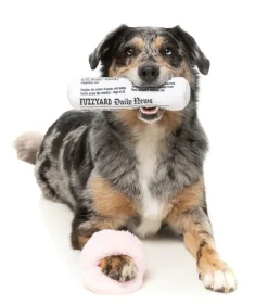 Fetch My Slippers & Paper 2PK - Dog Toy